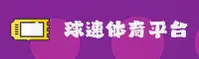 使用指南与常见问题